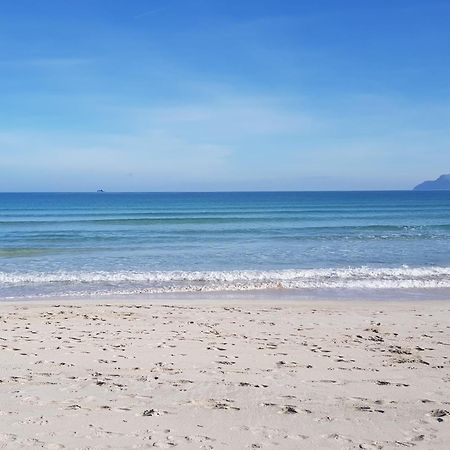 Ideal Property Mallorca - Marvi Alcudia  Luaran gambar